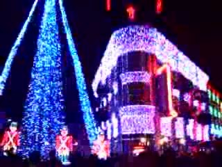 20101129a Burnham Trip Disney Spectacle Of Dancing Lights Hollywood Studios Florida