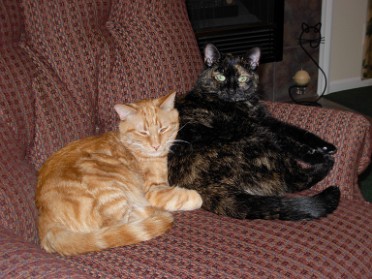 20110123c Blair Pets