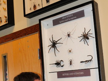 20110430a Burnham Trip Central Florida Zoo Sanford Florida