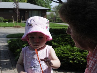 20110522a Burnham Campbell Trip House Shannon Sterling Heights Michigan