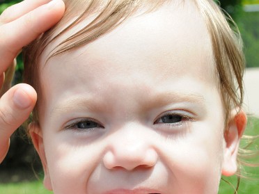 20110524a Campbell Trip Lily And Other Flowers Michigan