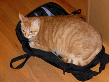 20110615a Blair Pets