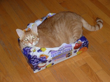 20110619c Blair Pets