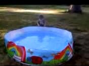 20110715a Lily Renee Campbell Videos