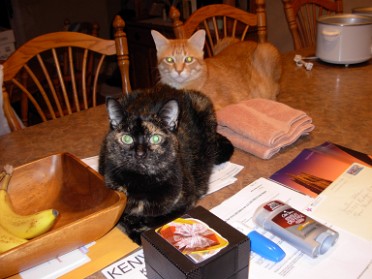 20111114a Blair Pets