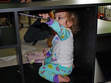 20111124b Campbell Lily At Home