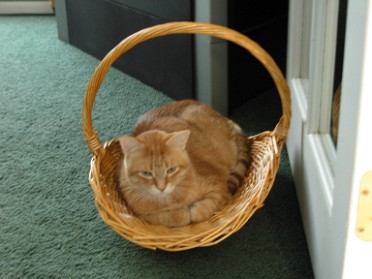 20120404a Blair Pets