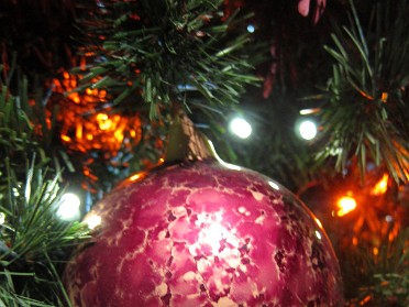 20121123a Burnham Trip Holiday Christmas Disney Animal Kingdom Lodge Decorations Florida