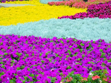 20130428 Burnham Trip Camera Exercise The Colors Of Epcot Florida