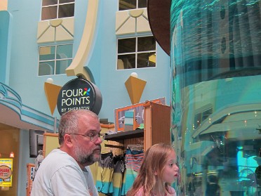 20140620a Burnham Campbell Trip Day On The East Coast Ron Jon's And Lunch At The Shark Pit Florida