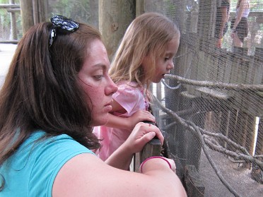 20140620b Burnham Campbell Trip Day On The East Coast Brevard Zoo Giraffe Feeding Florida