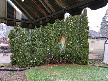 20160402a Burnham House Late Snow Shannon Sterling Heights Michigan