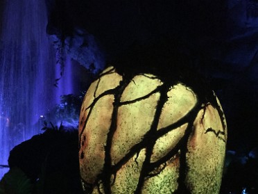 20170729a Burnham Trip Disney Animal KIngdom Pandora At Night Florida