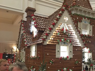 20171118a Burnham Trip Holiday Christmas Disney Magic Kingdom Grand Floridian Contemporary Castle Lights Florida