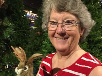 20180602a Burnham Trip Saint Petersburg Robert's Christmas Wonderland Saint Petersburg Clearwater Florida