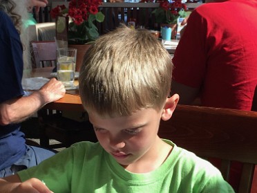 20180713a Burnham Campbell Trip Rams Horn Rochester Hills Michigan