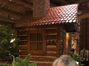 20191125a Burnham Trip Holiday Christmas Disney Wilderness Lodge Florida