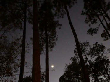 20191230c Burnham Mantey Trip Camping Falling Waters State Park Chipley Florida