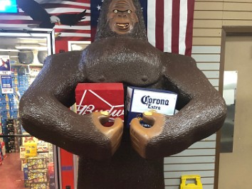 20200616-17a Burnham Travel