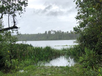 20200920a Burnham Lake Louisa State Park