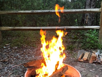 20201006c Burnham O'Leno State Park