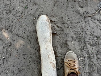 20210706a Blair Trip Itezhi-Tehzi Zambia Africa