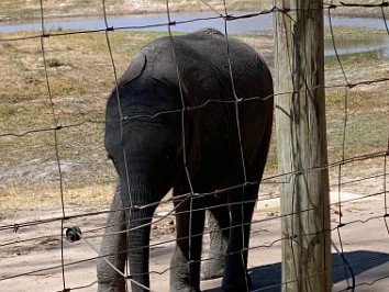 20210709a Blair Trip Itezhi-Tehzi Zambia Africa
