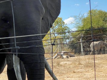 20210712a Blair Trip Itezhi-Tehzi Zambia Africa