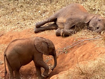 20210719a Blair Trip Kafue Zambia Africa