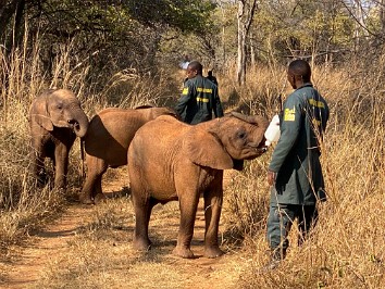20210720a Blair Trip Kafue Zambia Africa