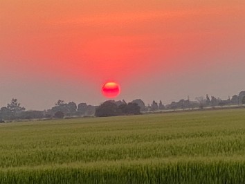 20210807b Blair Trip Kafue Zambia Africa