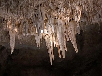 20220417c06 Burnham Camping Trip The Cave Big Room Shortcut To National Geographic Rope Carlsbad Caverns National Park New Mexico