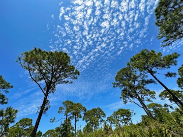 20230401a Burnham Trip Gulf Coast Florida