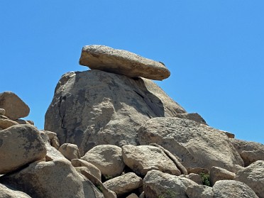 20230604r Burnham Trip Western US Grand Circle Tour Apostle Of The Cacti Joshua Tree National Park California