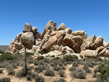 20230604t Burnham Trip Western US Grand Circle Tour Saddle Rock Geology Tour Road Joshua Tree National Park California