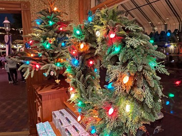 20230605z Burnham Trip Western US Grand Circle Tour Holiday Shopping Main Street USA Disneyland Anaheim California