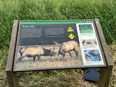 20230609y Burnham Trip Western US Grand Circle Tour Elk Meadow Redwood National Park California