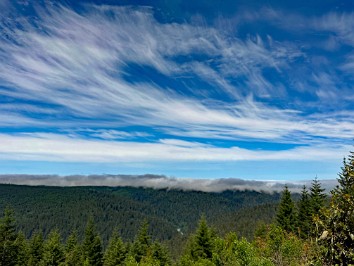 20230610m Burnham Trip Western US Grand Circle Tour Redwood Creek Overlook Redwood National Park California