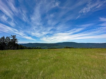 20230610n Burnham Trip Western US Grand Circle Tour Dolason Prairie Redwood National Park California