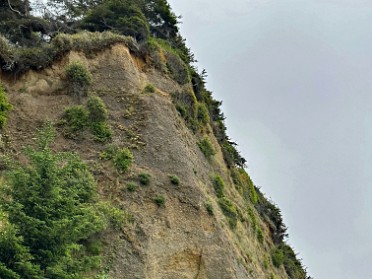 20230610r Burnham Trip Western US Grand Circle Tour Gold Bluffs Area Prairie Creek Redwoods State Park California