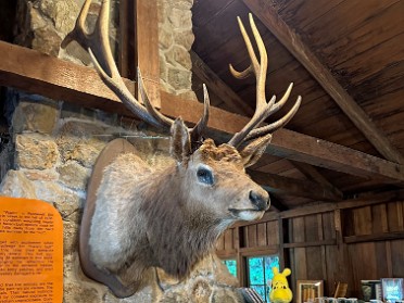 20230610s Burnham Trip Western US Grand Circle Tour Elk Prairie Visitor Center Prairie Creek Redwoods State Park California