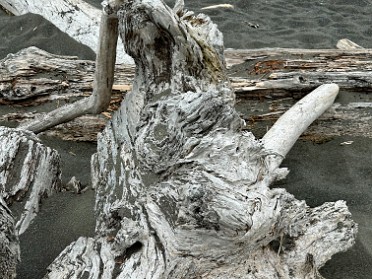 20230611q Burnham Trip Western US Grand Circle Tour Lagoon Creek Yurok Trail Beach Access Redwood National And State Parks California