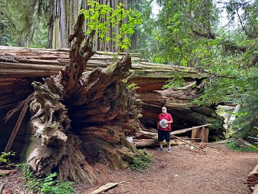 20230612y Burnham Trip Western US Grand Circle Tour Simpson Reed Peterson Trail Jedediah Smith Redwoods State Park California