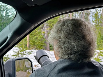 20230613x Burnham Trip Western US Grand Circle Tour Annie Creek Steller's Jay Hunt Crater Lake National Park Oregon