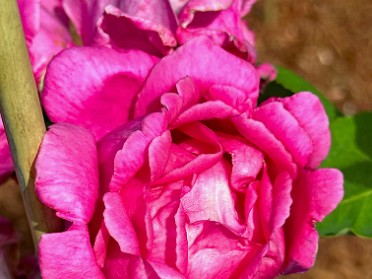 20230614z Burnham Trip Western US Grand Circle Tour Drive To Hotel Port Angeles Washington