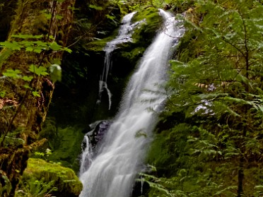 20230619x Burnham Trip Western US Grand Circle Tour South Shore Trail And Merriman Falls Lake Quinault Area Olympic National Park Washington
