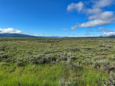 20230624g Burnham Trip Western US Grand Circle Tour Potholes Grand Teton National Park Wyoming