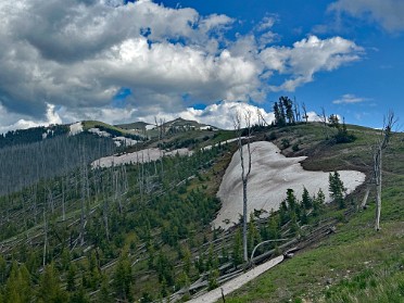 20230628x Burnham Trip Western US Grand Circle Tour Mount Washburn Chittenden Road Yellowstone National Park Wyoming