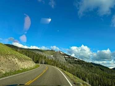 20230628z Burnham Trip Western US Grand Circle Tour Lamar Valley Pronghorn Bison Parade Yellowstone National Park Wyoming