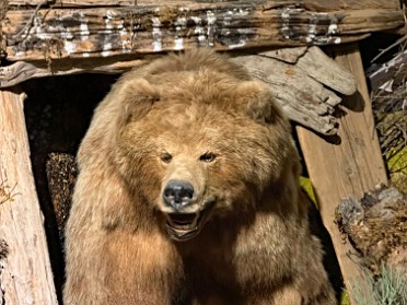 20230629v Burnham Trip Western US Grand Circle Tour Lunch Exploring Silver Gate Cooke City Montana